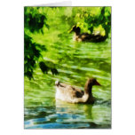 Ducks on a Tranquil Pond Card
