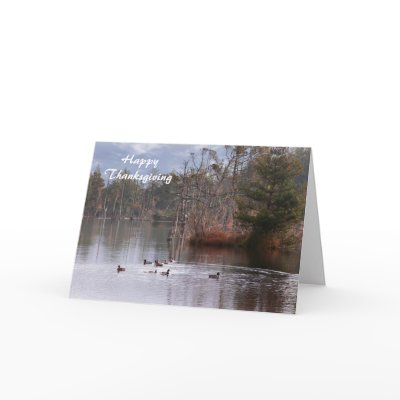 Ducks On Empire Lake Greeting Cards by Guiltypleasures