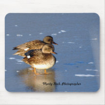 Ducks on Ice Mouse Pad
