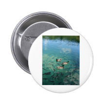 Ducks Pins