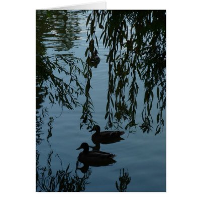 Ducks Under the Willow Greeting Cards by kapulani