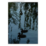 Ducks Under the Willow Greeting Cards