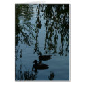 Ducks Under the Willow cards