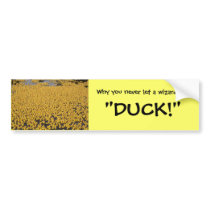ducks, Why you never let a wizard yell, "DUCK!"