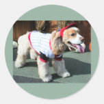 Ducky - Cocker Spaniel Photo-02 Stickers
