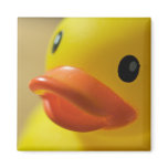 Ducky Magnet