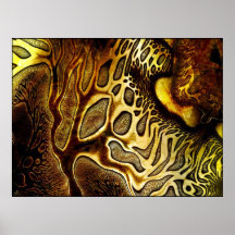 Ducky's © print