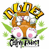 Dude! Catnip Rules! Acrylic Cut Out