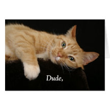 Dude, Greeting Card