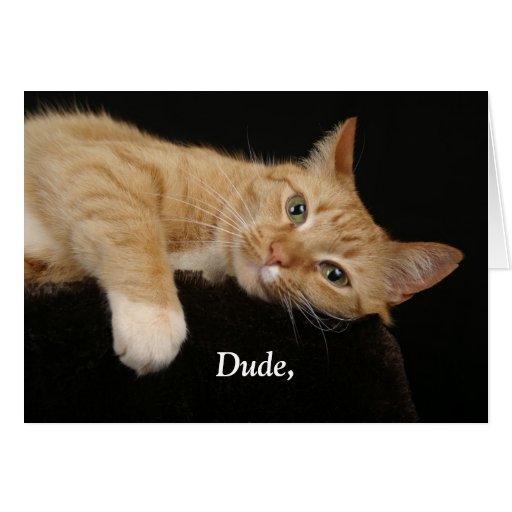 Dude, Greeting Card