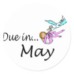Due In May ( Pink)