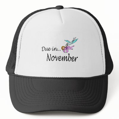Due In November (Baby/Stork) by CelebrationZazzle