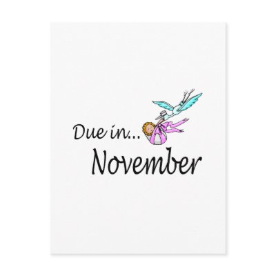 Due In November (Baby/Stork) by CelebrationZazzle