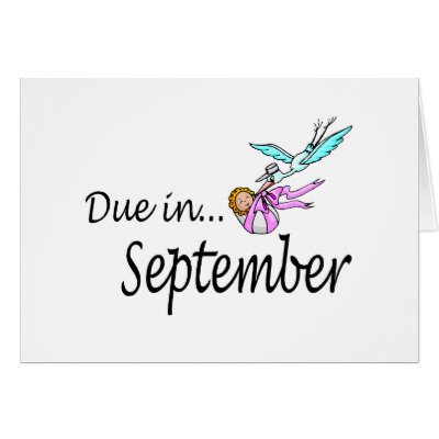 Due In September (Baby/Stork) by CelebrationZazzle