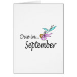 Due In September (Baby/Stork)