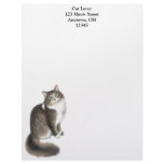 Duffy the Maine Coon Cat Letterhead