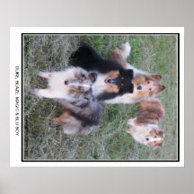 Duke, Blaze, Magic & Blu Boy Posters