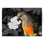 Dukie Duke Greeting Card