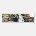 Duluth's Paradise Bumper Sticker