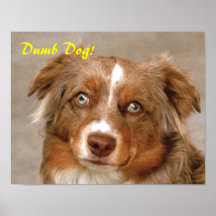 DUMB DOG POSTER
