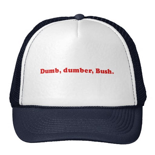 Dumb Dumber Hat