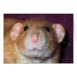 Dumbo Rat Greeting Card