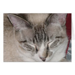 Dumpling Greeting Card