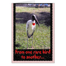 D'un oiseau rare carte de vœux