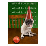 dunce