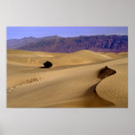 Dune de sable de Death Valley Posters
