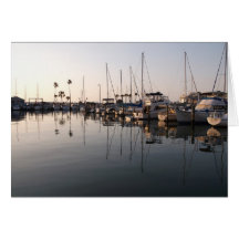 Dunedin Florida Marina Card