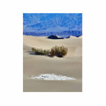 Dunes Desert Acrylic Cut Outs