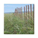 Dunes of Cape Cod Fridge Magnets