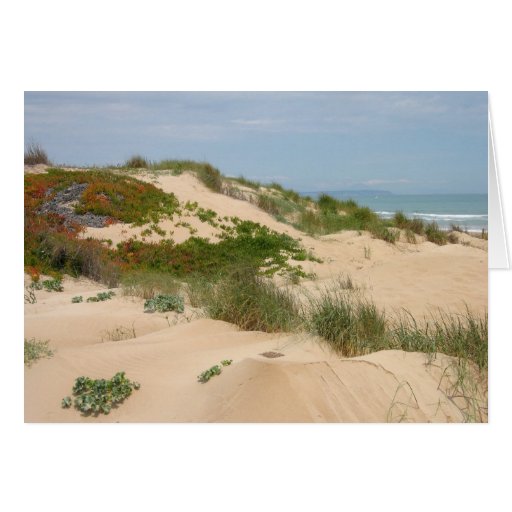 Dunes of the Seashore Card