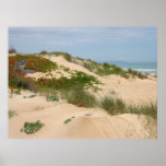 Dunes of the Seashore Poster