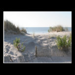 Dunes postcard postcards