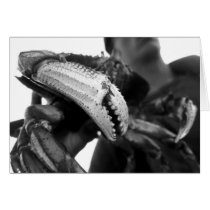 Dungeness Cards