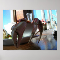 Dungeness Crab Dinner Posters