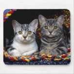 Duo Cat Mousepad
