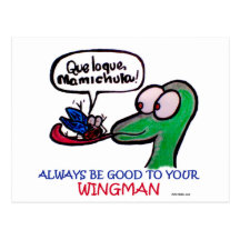 Durante Mamichula Wingman Postcards
