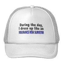 During The Day I Dress Up Insurance Risk Surveyor Hats