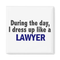 During The Day I Dress Up Like A Lawyer