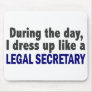 During The Day I Dress Up Like A Legal Secretary