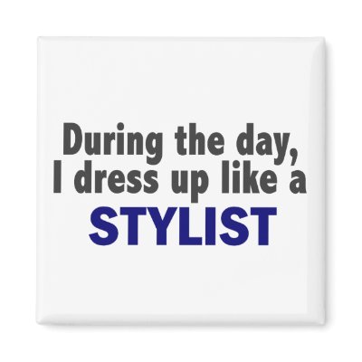 During The Day I Dress Up Like A Stylist by professiongifts