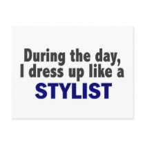 During The Day I Dress Up Like A Stylist