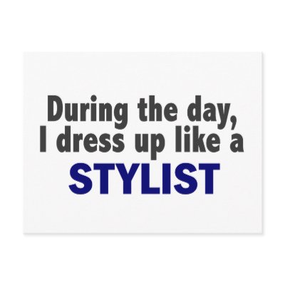 During The Day I Dress Up Like A Stylist by professiongifts