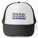 During The Day I Dress Up Like A Tax Accountant