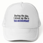 During The Day I Dress Up Like A Tax Accountant