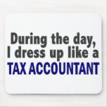 During The Day I Dress Up Like A Tax Accountant mousepads