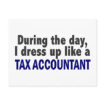 During The Day I Dress Up Like A Tax Accountant